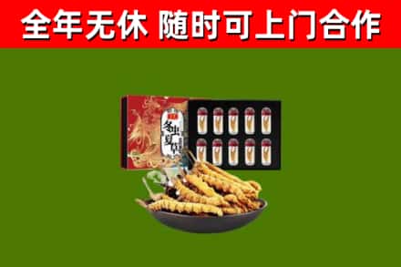城中区回收冬虫夏草价格